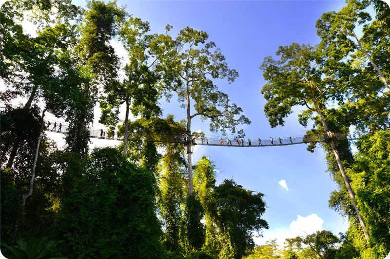 云南滇藏旅游旅行,滇藏茶马古道的起点是西双版纳