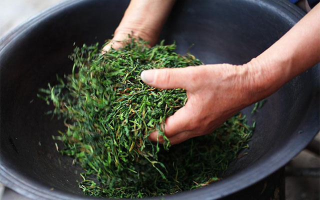 绿茶的冲泡方法和品鉴图片,绿茶冲泡讲解方法图文版