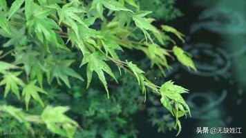 海子面朝大海春暖花开朗读英语,海子面朝大海春暖花开怎样朗读