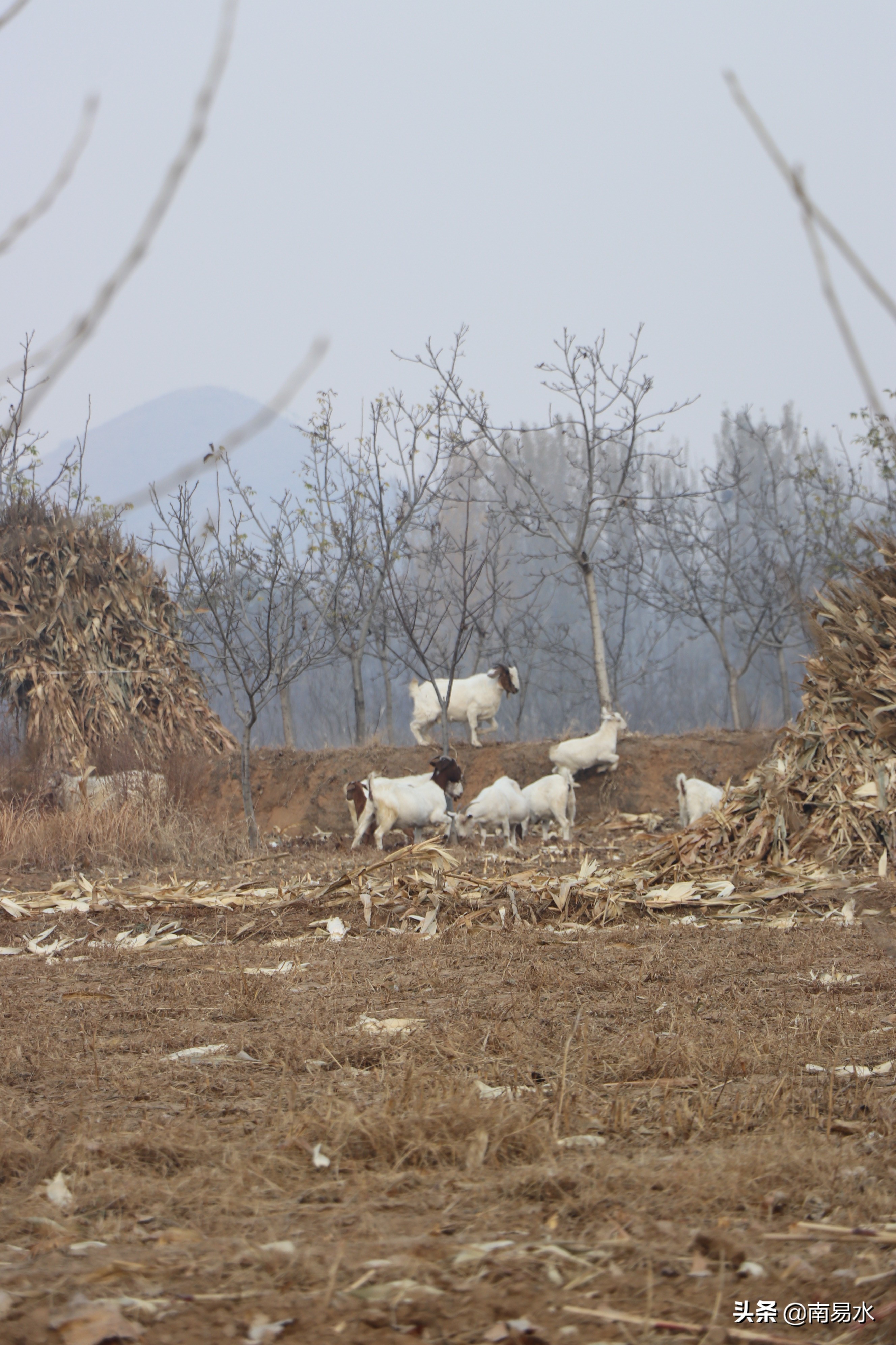 家乡风景带你一起感受自然的味道,令你难以忘怀的家乡的味道