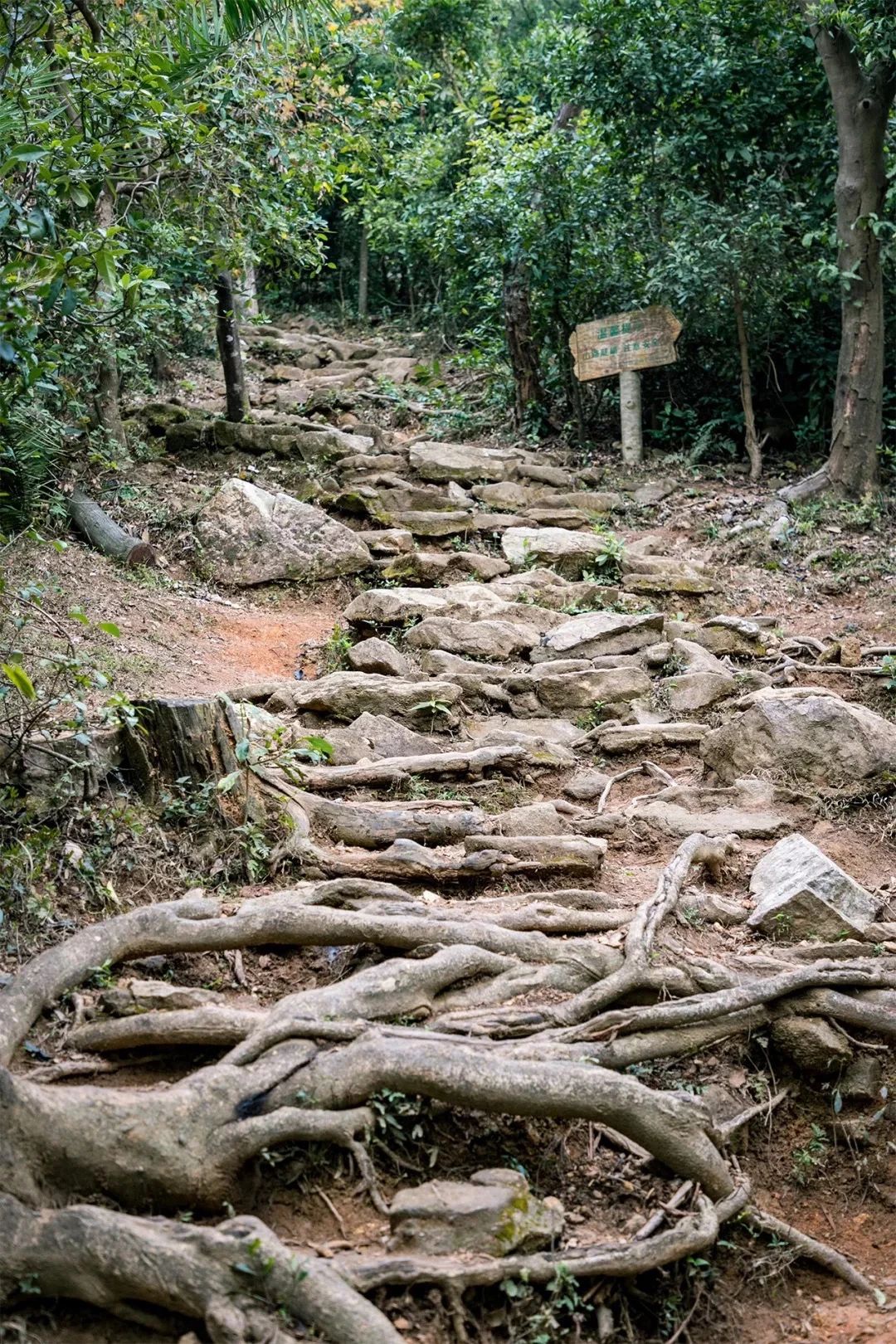 深圳地铁7号线有什么好玩的,深圳地铁十四号线游玩攻略