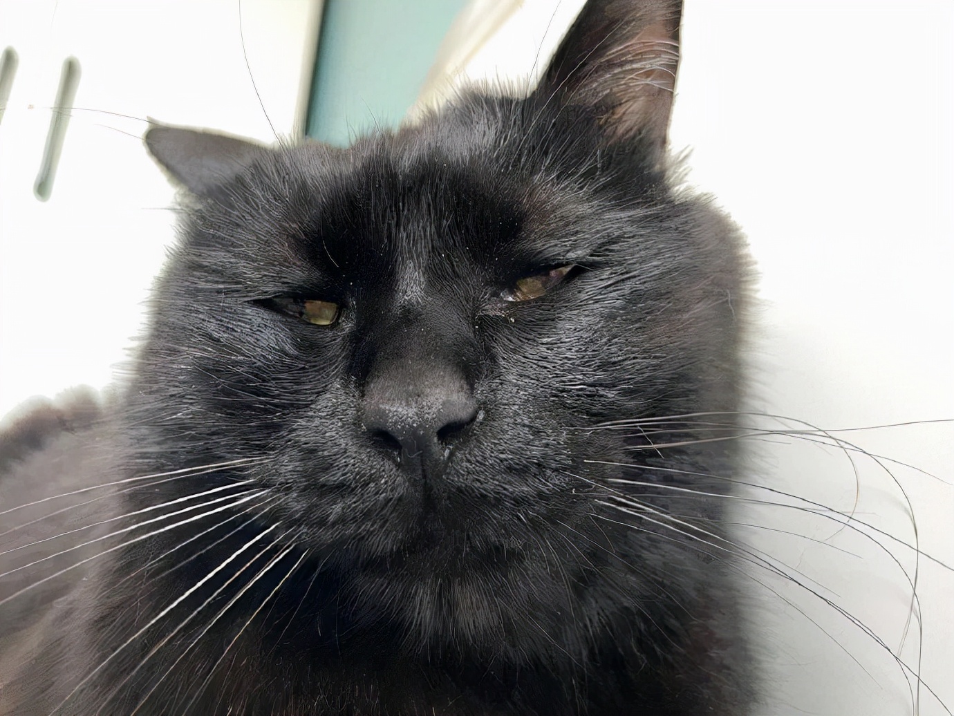 有趣的airpods耳机名称,airpods少一个耳机叫什么名字