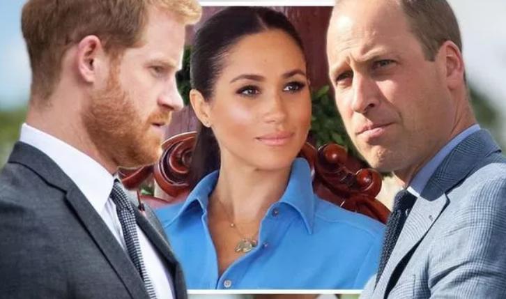 威廉对哈里梅根心烦意乱,威廉不同意哈里梅根回王室