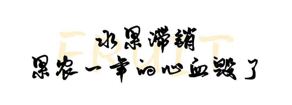 襄阳四季青水果批发市场位置,襄阳最大水果交易市场