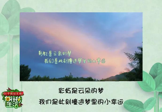 向往的生活1-6季文案,向往的生活一屋两人三餐四季文案