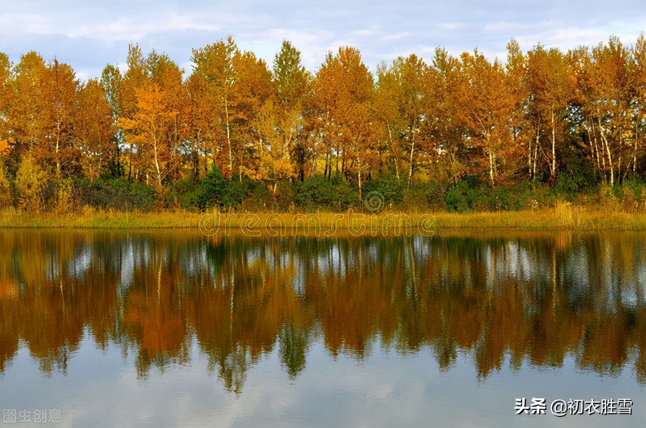 清丽早冬美诗五首赏读：杨柳不知秋已远，可怜冬景似春华