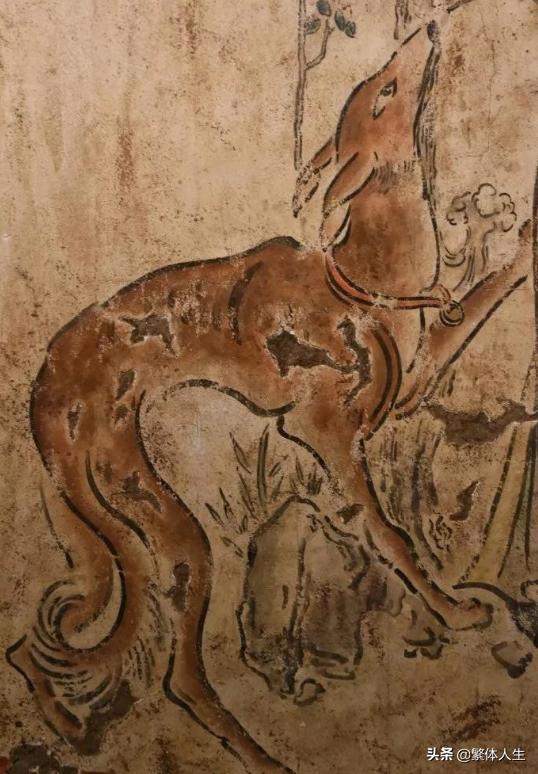 长安十二时辰陕西细犬,关中细犬