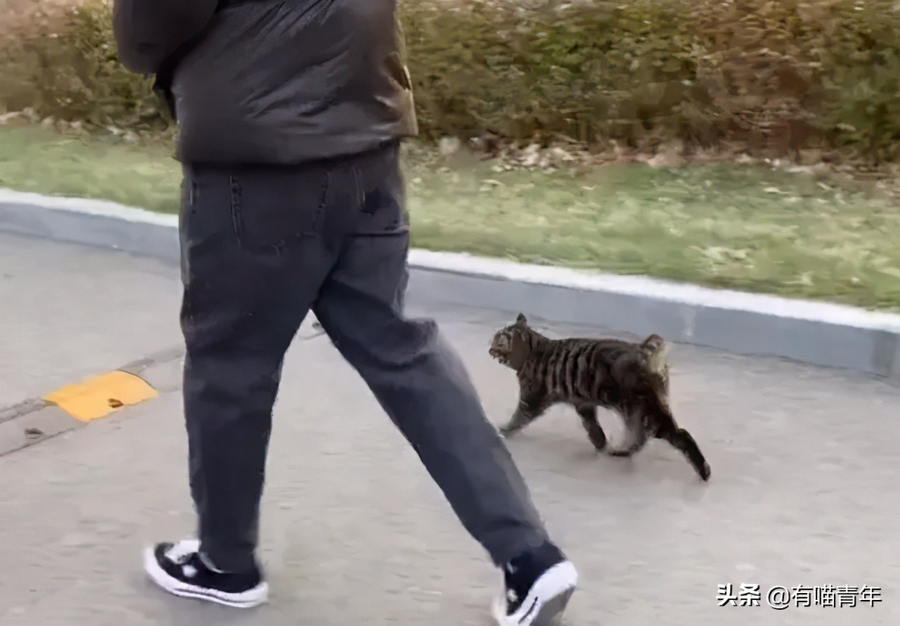 男子报警21岁喜当爹,男子喜当爹做了一件荒唐事