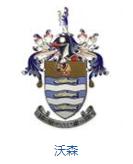 英格兰队徽壁纸,英格兰队徽图片蓝锁