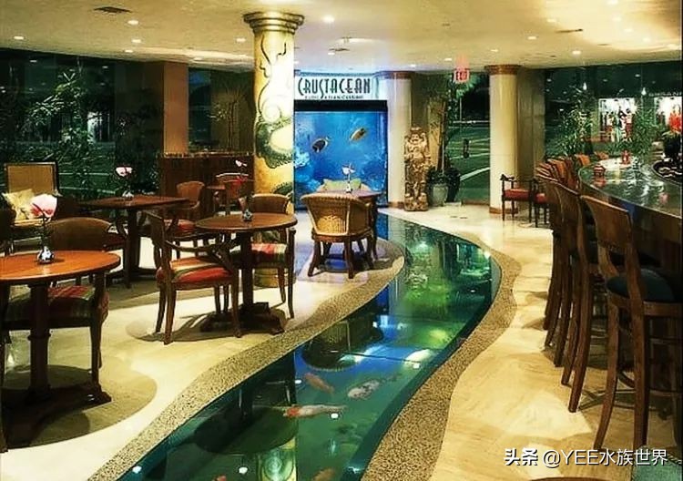 循环水养殖鱼马桶,多功能鱼缸养鱼小窍门