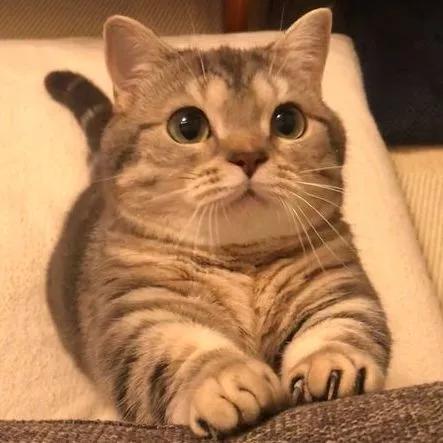 ps手绘100个小妙招,ps手绘零基础教程