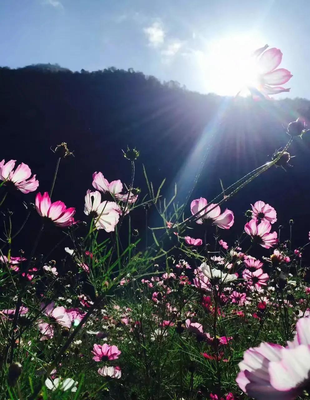 鬼谷子手段,真正的鬼谷子谋略视频