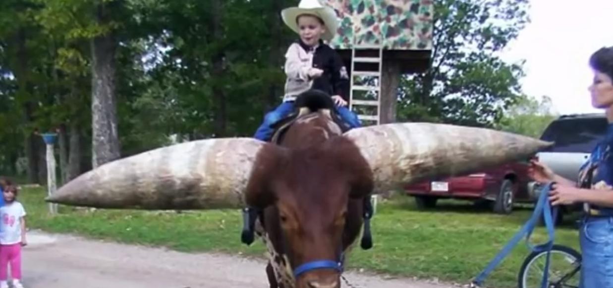 给牛身上开洞,牛身上的洞是怎样开的