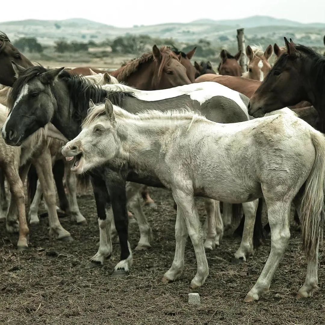 当我们在谈论“睡你”时，我们该谈论什么？▏樊昕磊最新上线作品