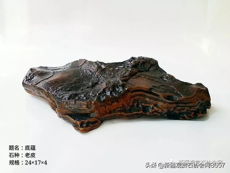 鎴堝鑰佺毊,鎴堝鑰佺毊鍜屾按鏅剁毊