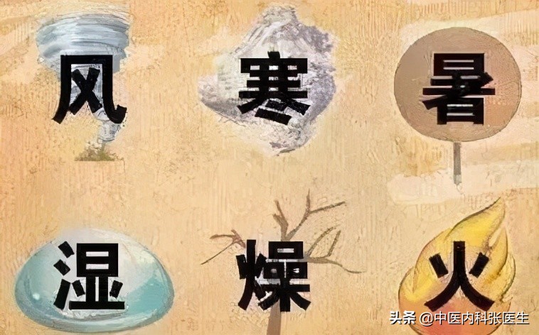 五毒月五毒日有科学依据吗,五毒之月排除五毒