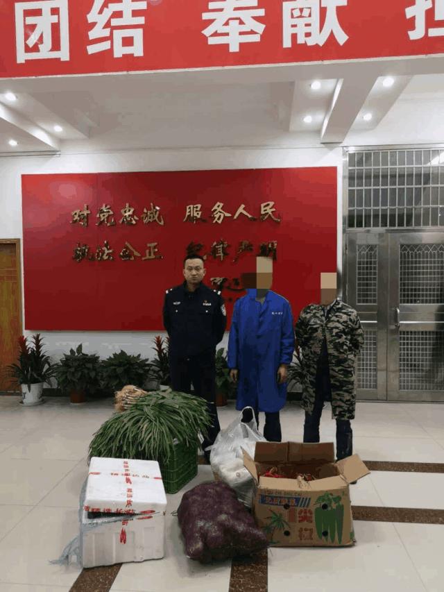 赣县惊现“真人版偷菜”，雌雄双盗凉凉落网