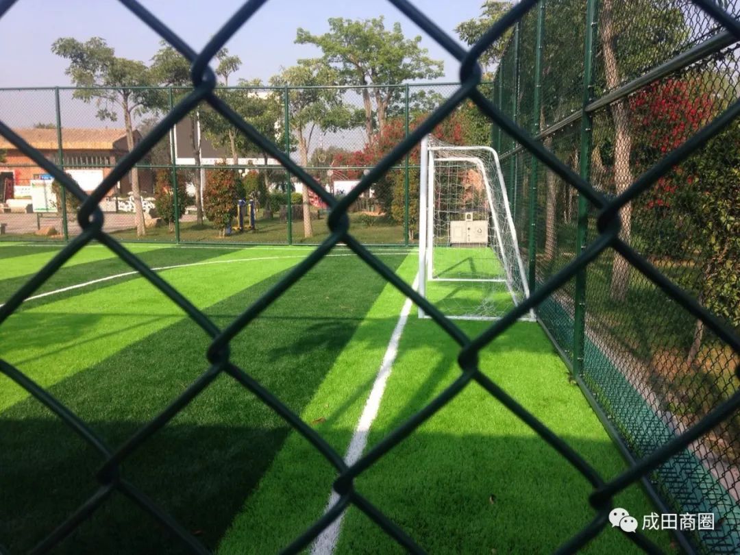 成田文化体育公园,成田镇体育馆