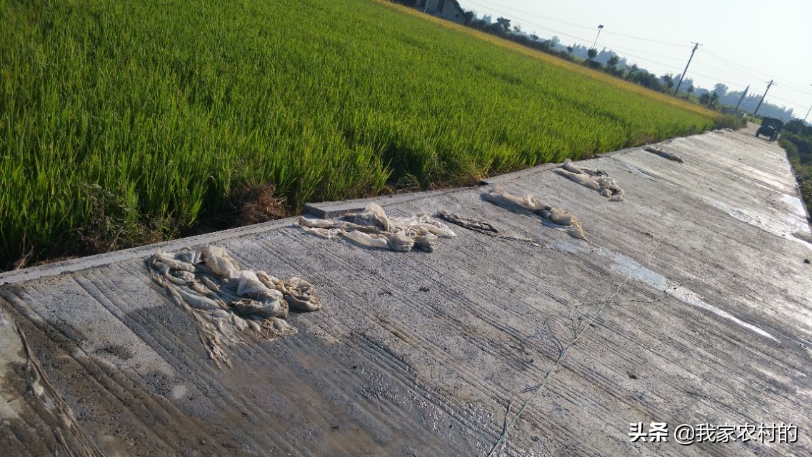 农村道路硬化怎么最省钱,道路硬化一般用什么混凝土