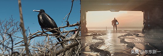 quicktime的视频编解码器,quicktime编码器和播放器