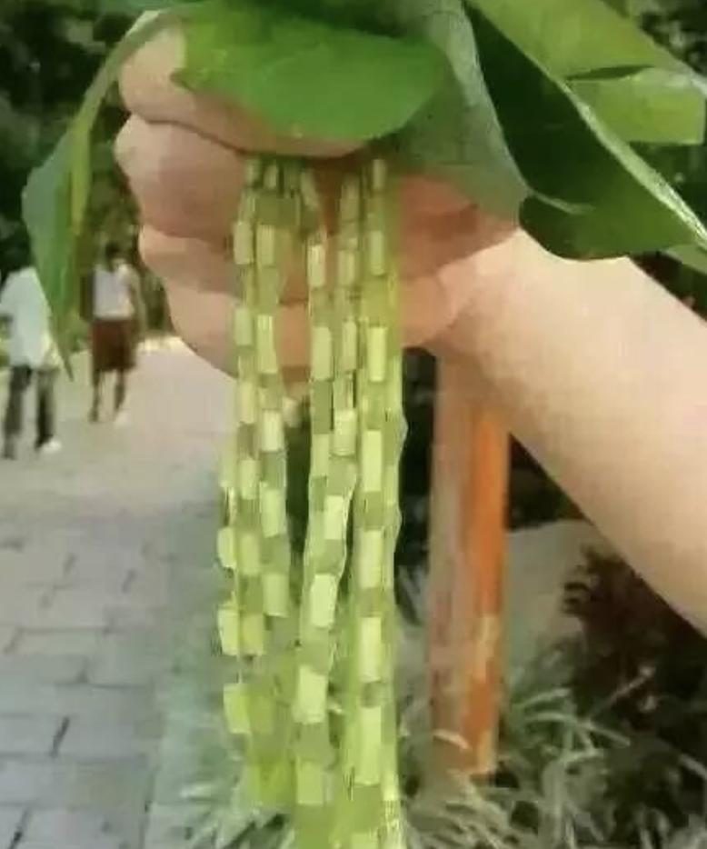 盘点童年玩过的游戏和玩具,小时候玩的童年游戏