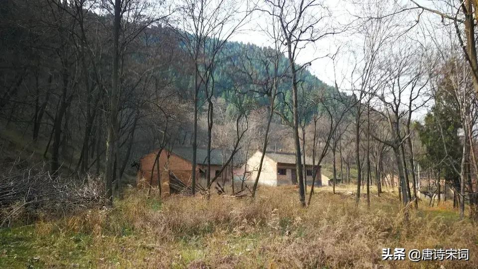 寒食和清明哪一个在前,寒食这首诗是关于清明节的吗