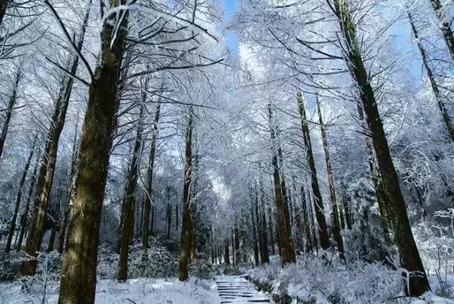 安徽最值得打卡的十大旅行地,安徽十大最好玩的山