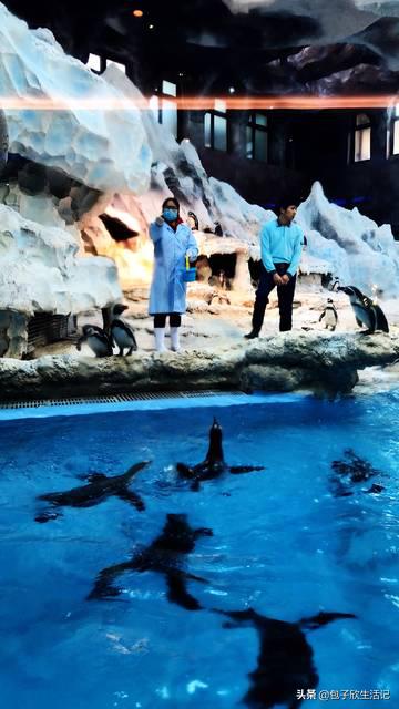 亲子珠海长隆海洋王国一日游攻略,珠海长隆海洋王国游玩攻略亲子