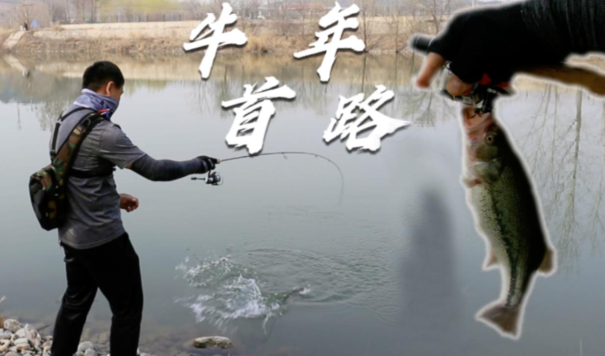 新入坑路亚的钓友越来越多,完全不会钓鱼如何入坑路亚