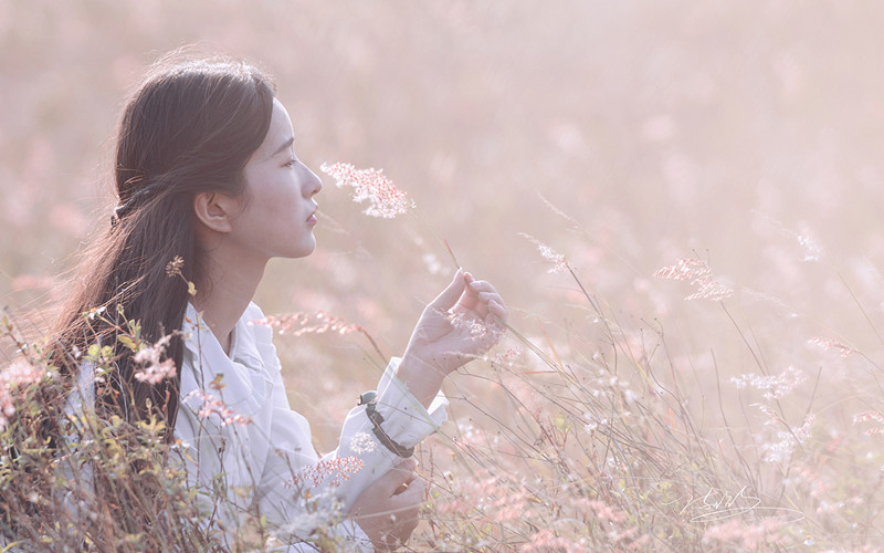 你的心，另有所属，我的爱，覆水难收