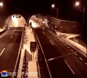 搞笑动图gif骂人,搞笑动图gif兔子