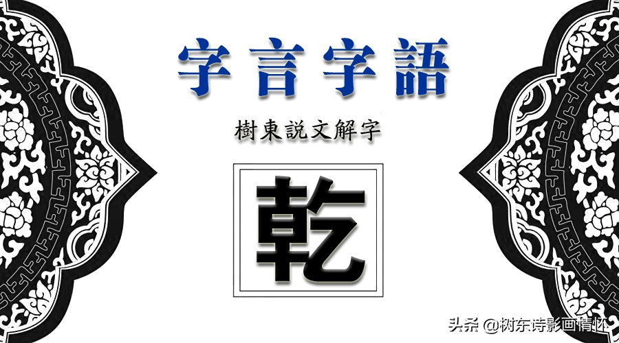 乾字的演变过程图片,乾字解字