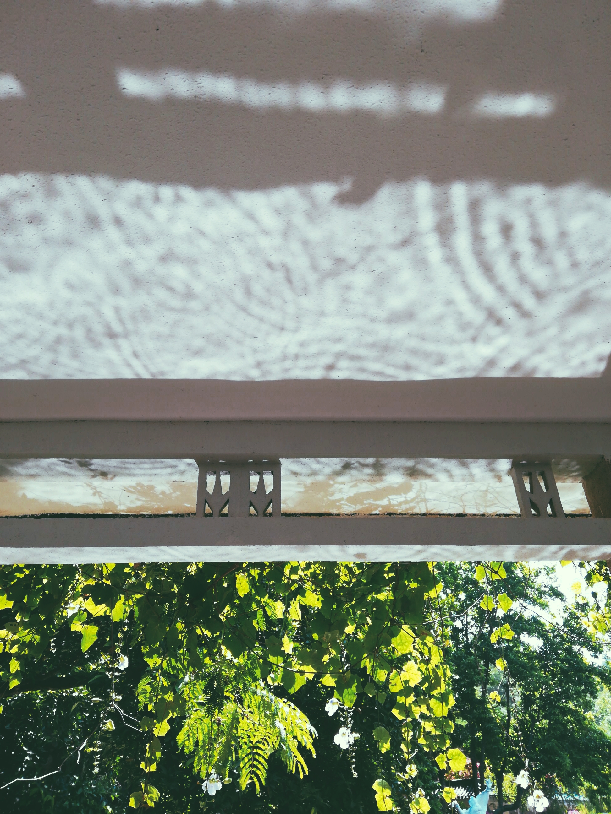 怎么让拍出来的照片更好看软件,用什么软件拍出来的照片很好看