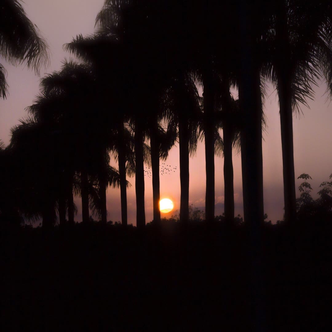 微信背景图一切都是最好的安排,微信背景图希望你一直都在