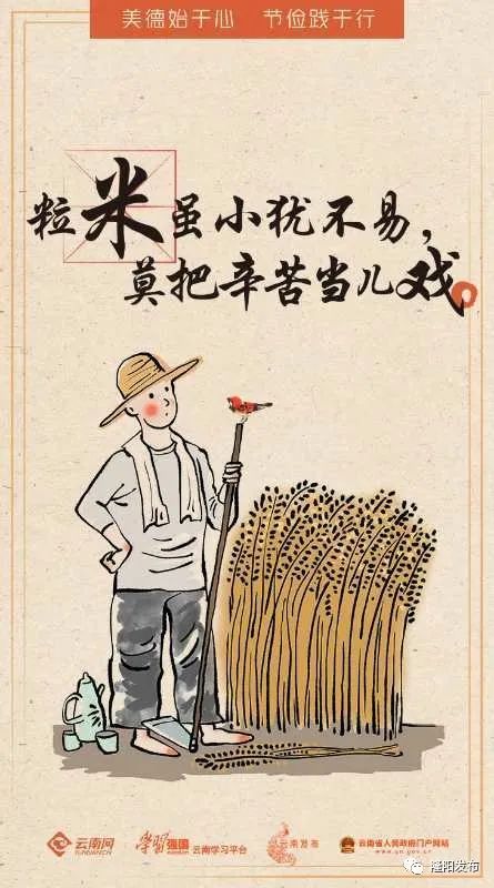 云南保山潞江坝小粒咖啡,保山小粒咖啡跨境电商