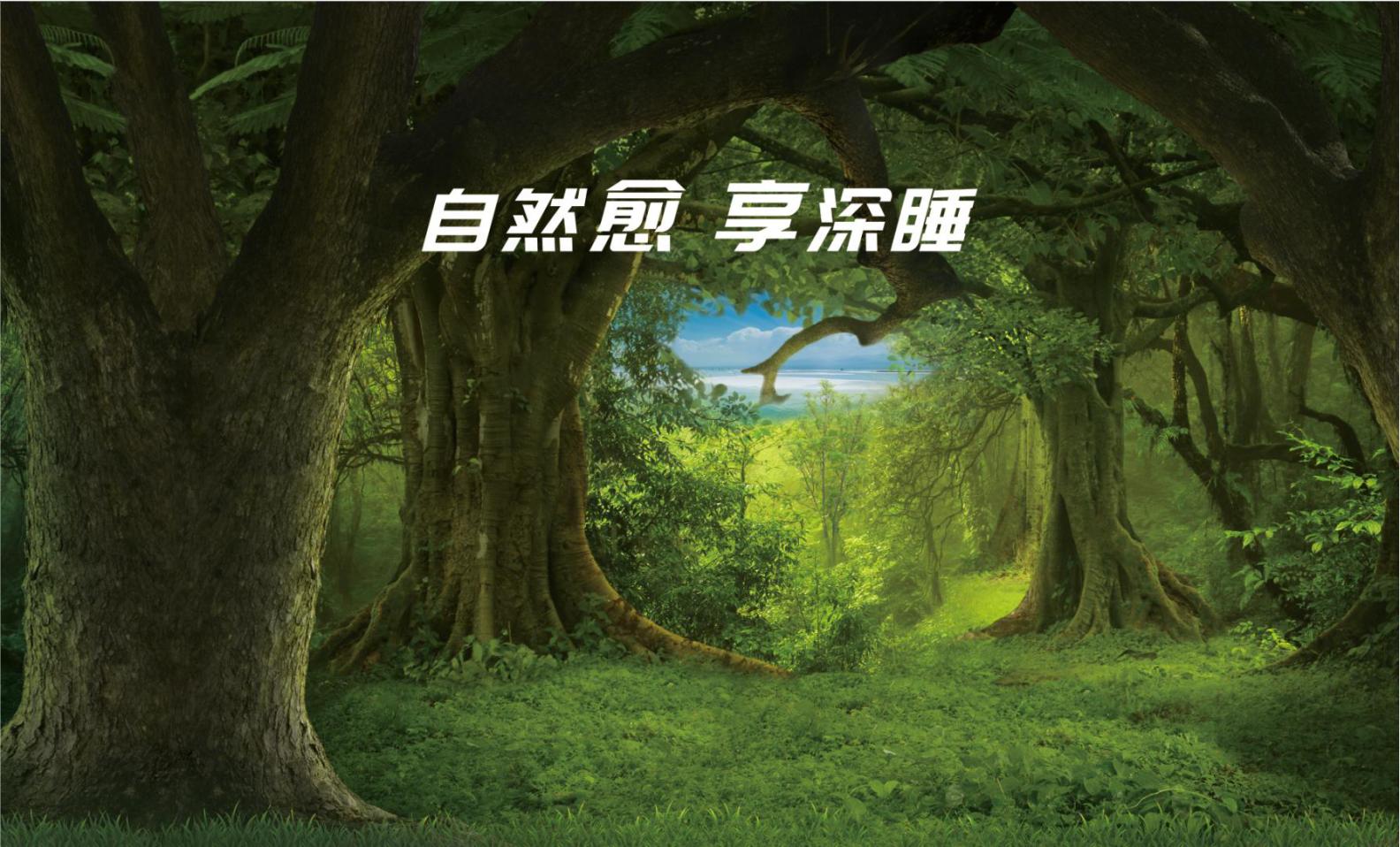加盟现状,加盟行业的新趋势