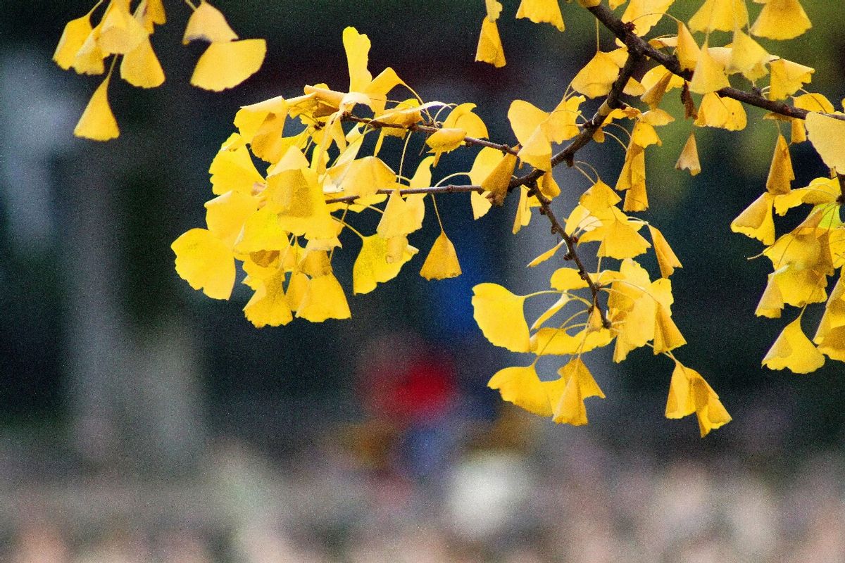 “贪婪之人，一看便知”：本性贪婪之人，有以下几个特征，需认清