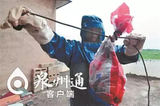 各种各样的毒虫被咬了怎么办,十大毒虫咬了有什么症状