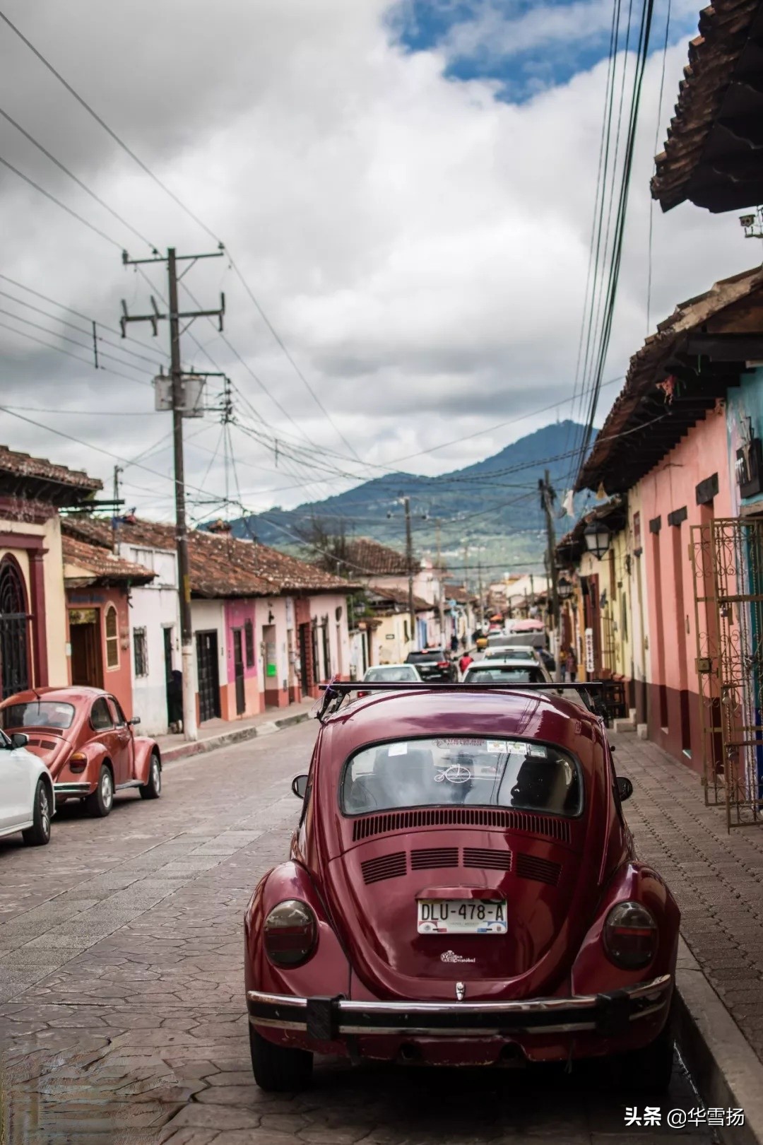 在这里你可以看到绚烂多彩的甲壳虫，因为他们是这里的精灵