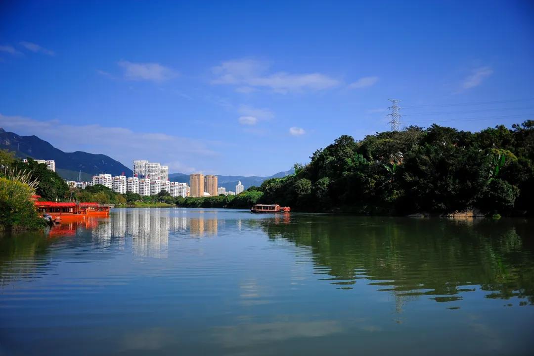 荔城无处不荔枝翻译,荔城无处无荔枝