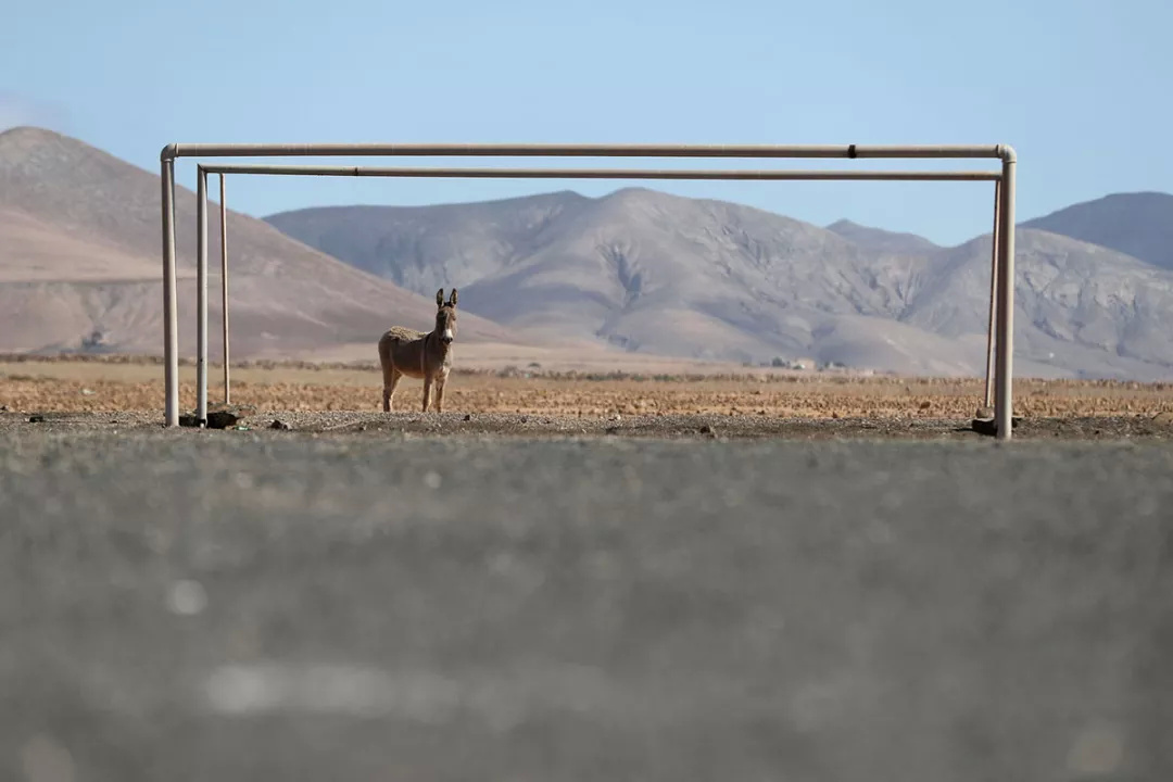 足球运动的特点与价值,这才是足球运动的魅力