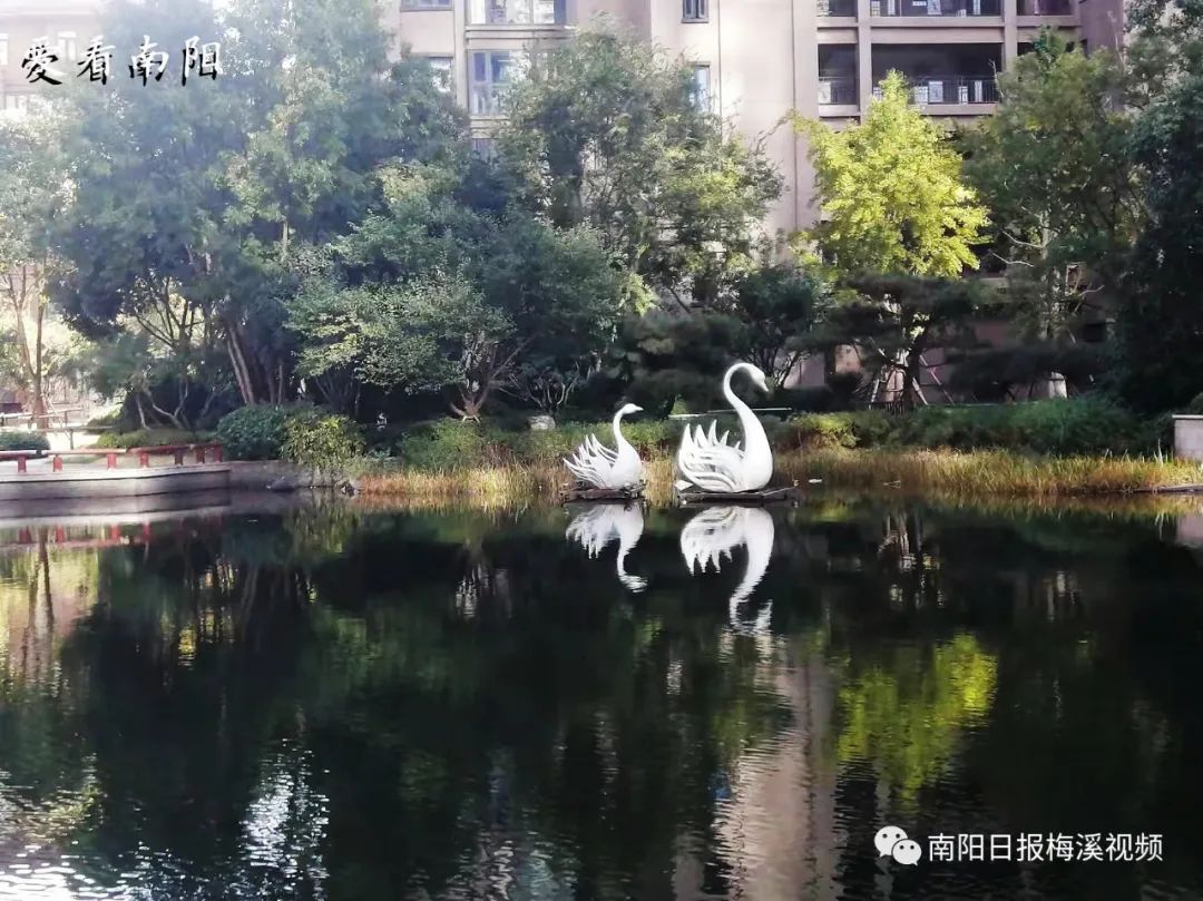 爱看南阳㉘初冬·暖阳依旧