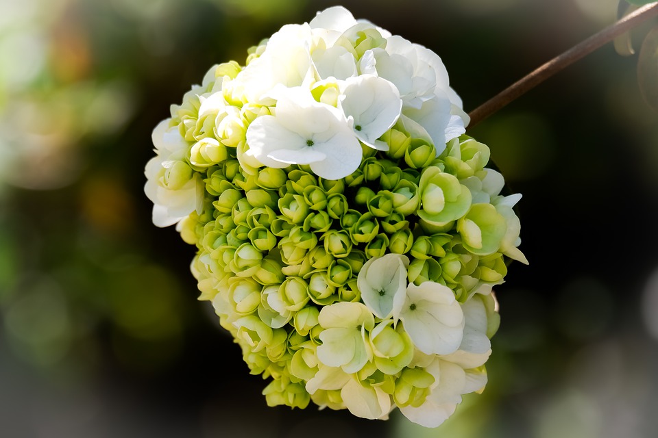 玩欲擒故纵的男人是爱还是不爱你,男的对你欲擒故纵女的应该怎么做