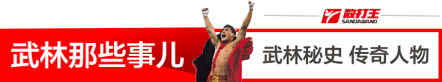 散打王高手,散打王十大名将散打队长
