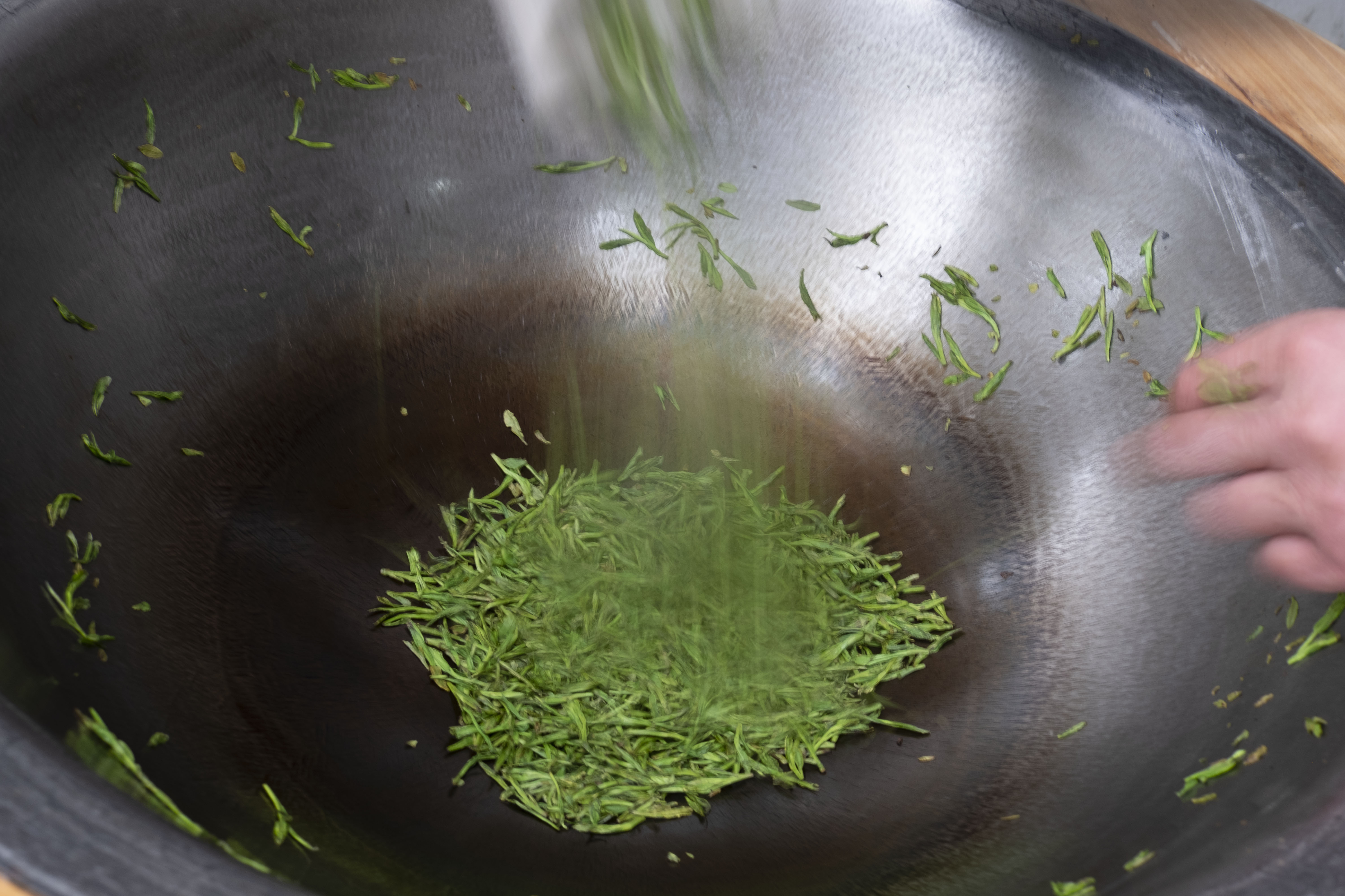 西湖龙井春茶季,龙井茶西湖明前春茶