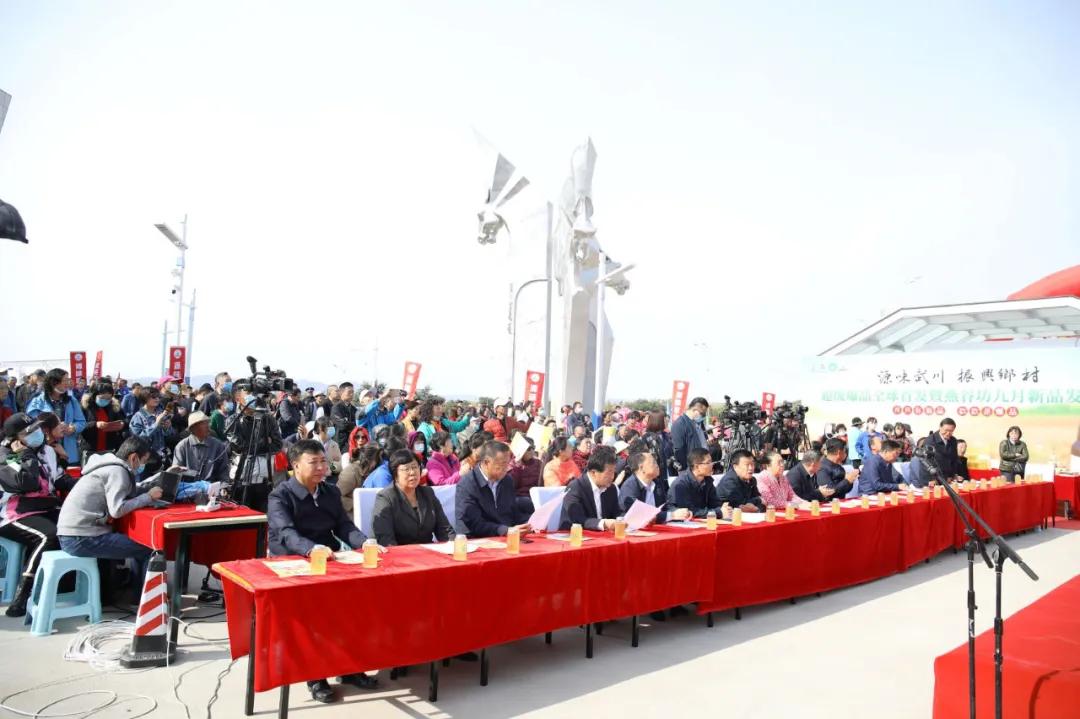 第三届中国农民丰收节汝南,益阳市第三届中国农民丰收节举行