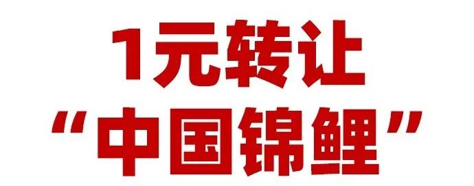 「中国锦鲤女孩」1元*局骗**背后，那些人设崩塌的中奖者