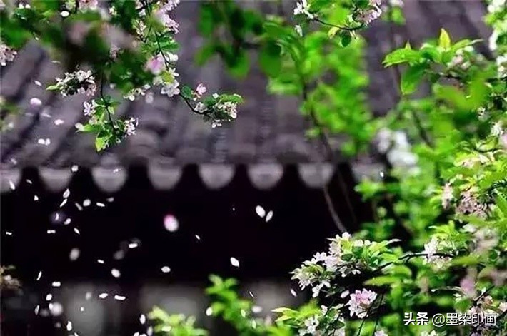 清明节拍摄风景图片,清明节全家踏青照片如何拍摄