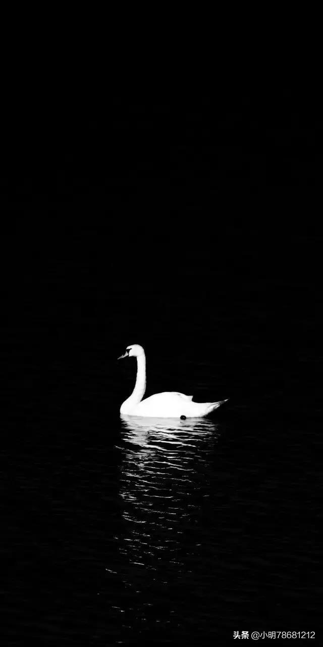 万圣节壁纸黑暗系,暗黑系壁纸全套