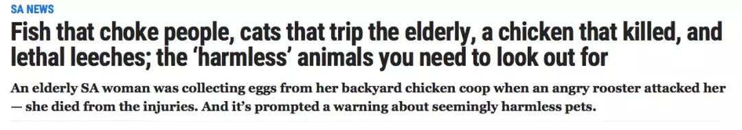 澳洲油价又涨了？！教你怎样加油最省钱